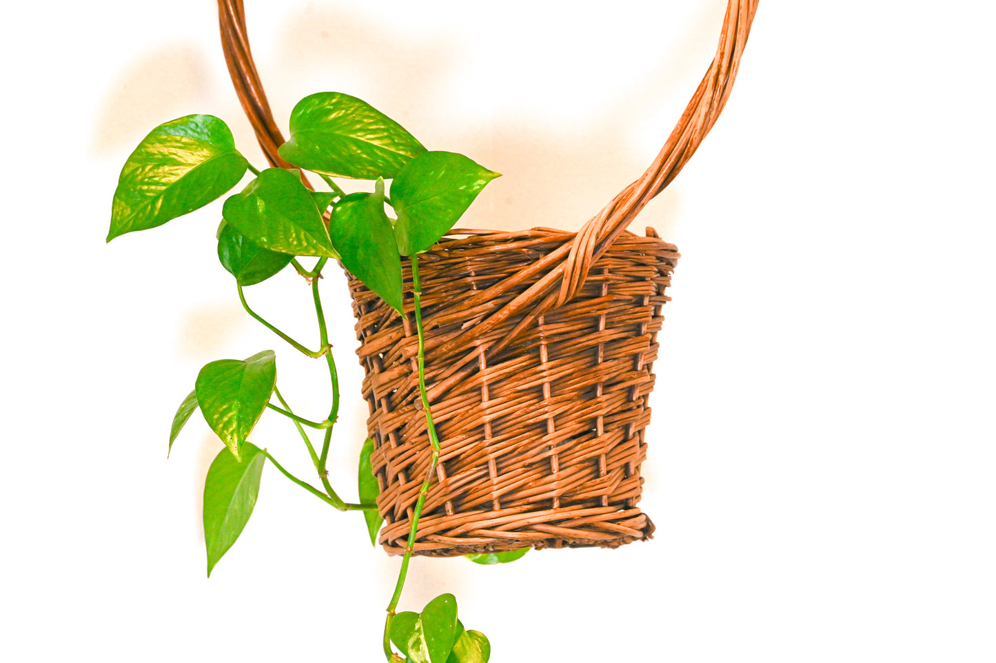 Hanging Planter Basket