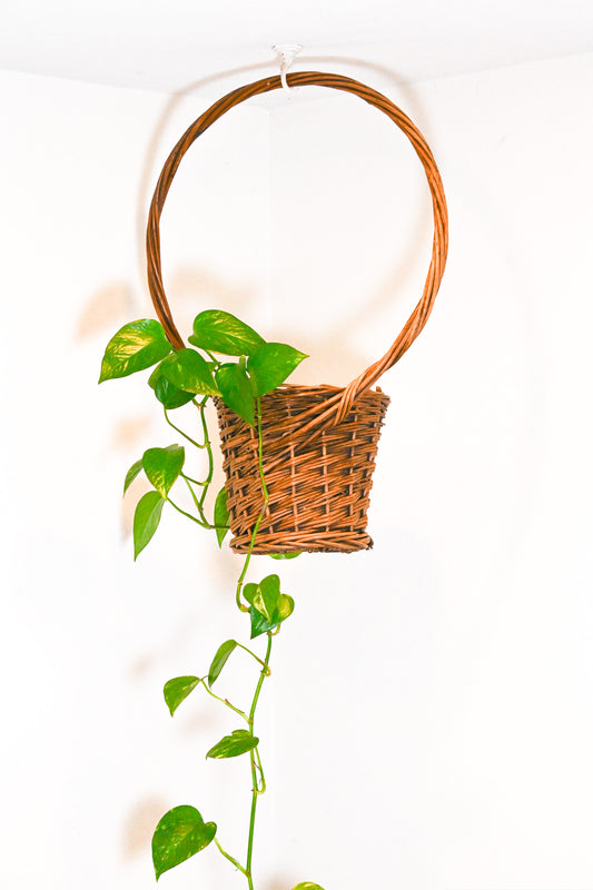 Hanging Planter Basket