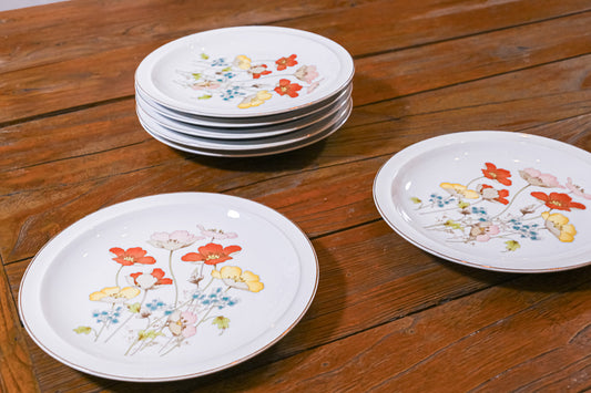 Set of 7 Poppy Plates
